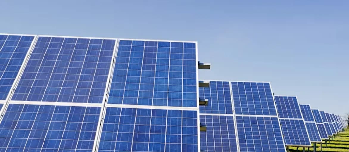 多样性与包容性